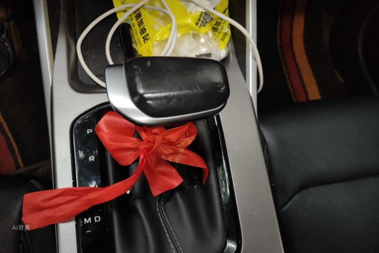 GEELY Emgrand 2022 immagine di auto #16