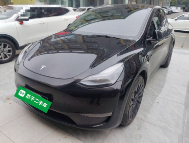 Tesla Model Y 2022 Tesla Model Y 2022 car image