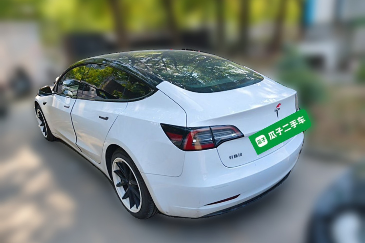 Tesla Model 3 2020 #5 Tesla Model 3 2020 car image #5