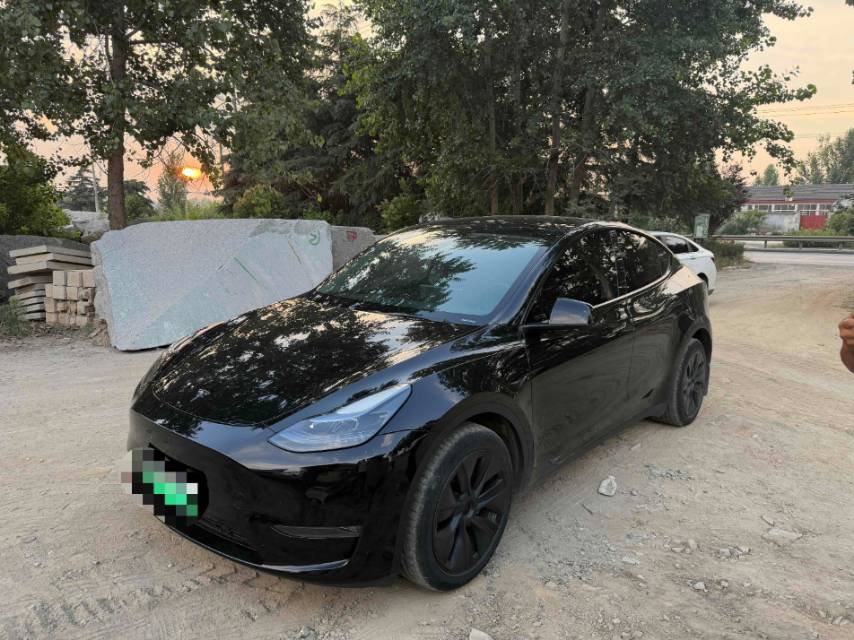 Tesla Model Y 2023 Tesla Model Y 2023 car image