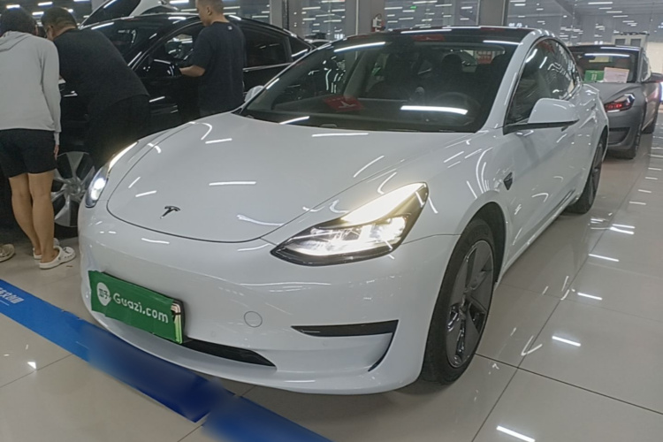 Tesla Model 3 2021 #2 Tesla Model 3 2021 car image #2