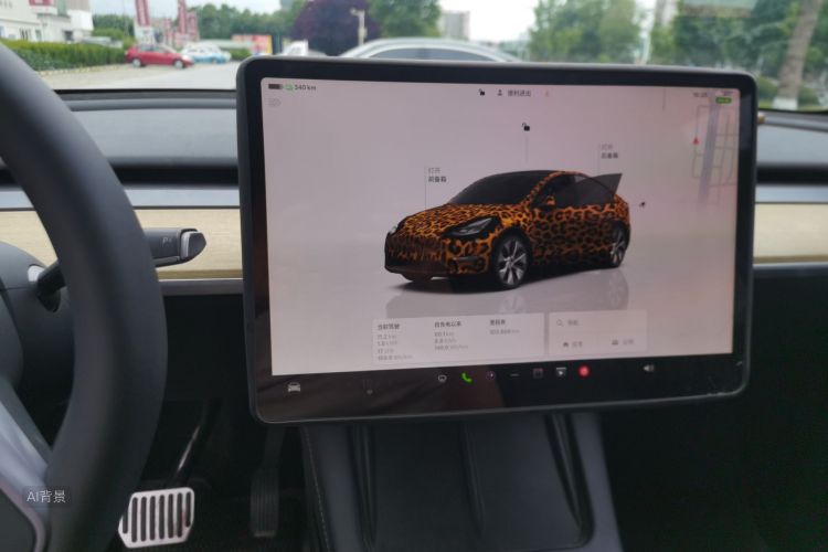 Tesla Model Y 2023 #13 Tesla Model Y 2023 car image #13
