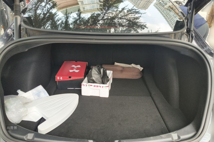 Tesla Model 3 2021 car image #21