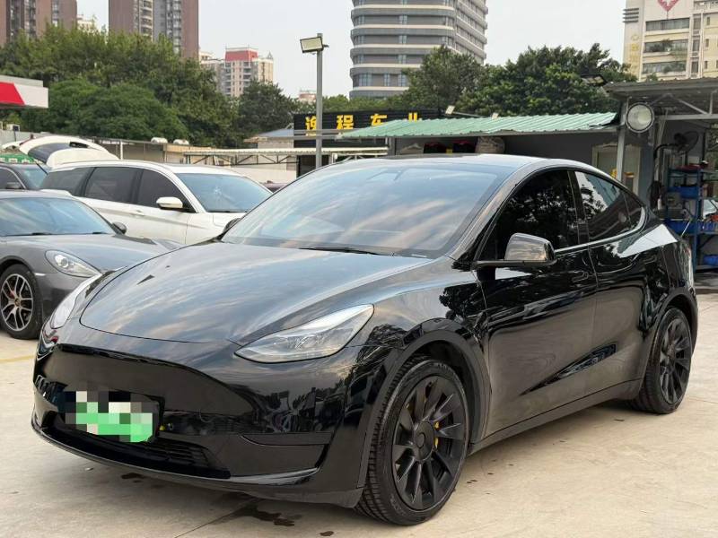 Tesla Model Y 2022 car image 