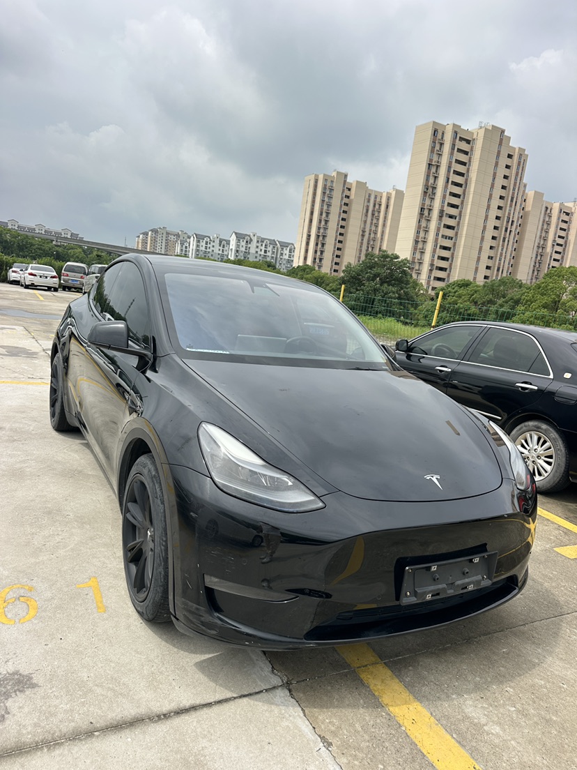 Tesla Model Y 2021 #2 Tesla Model Y 2021 car image #2