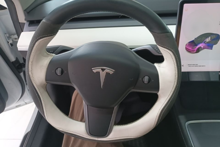 Tesla Model 3 2021 car image #15