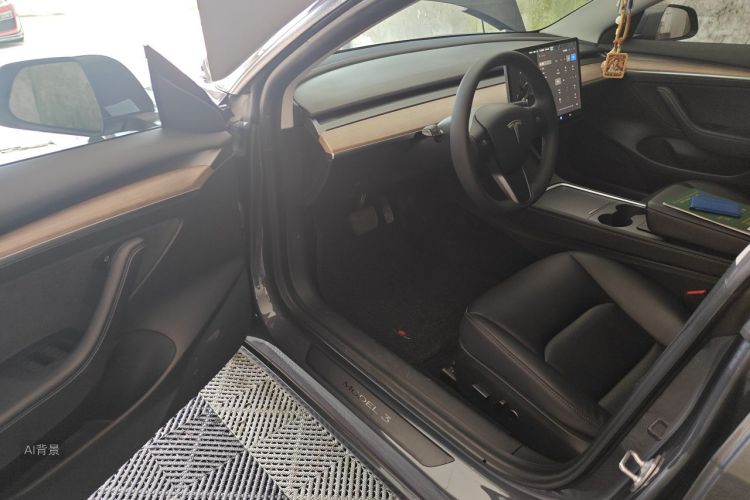 Tesla Model 3 2021 car image #18