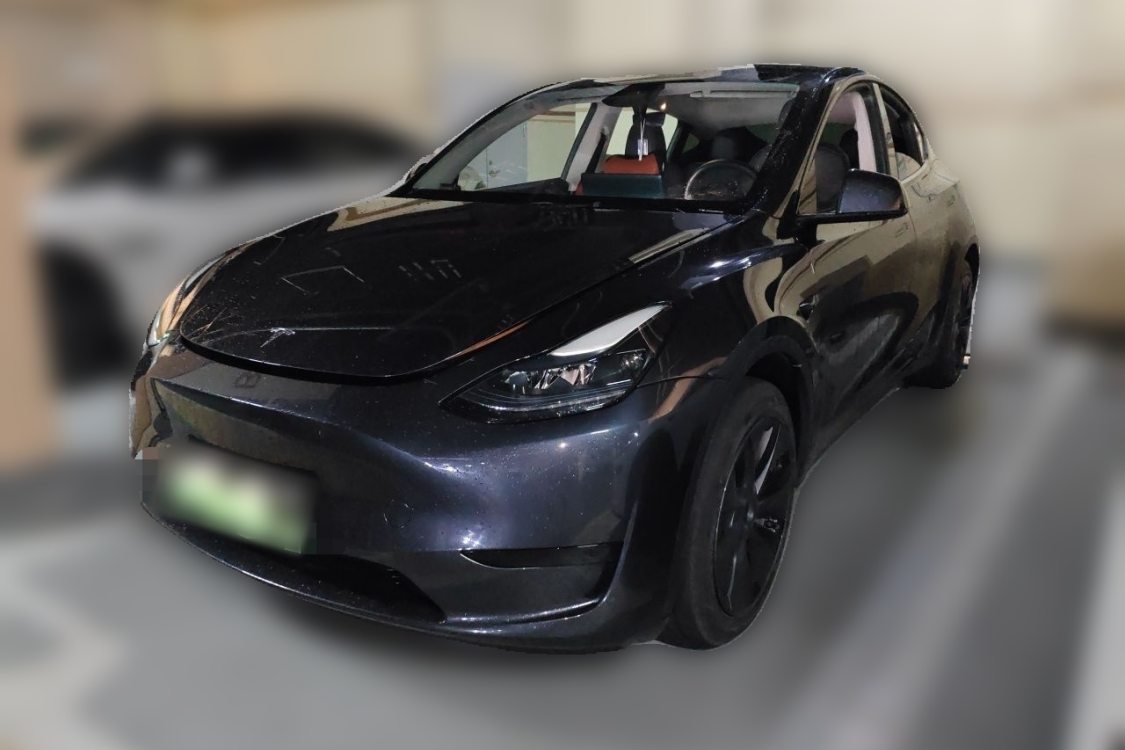 Tesla Model Y 2024 car image 
