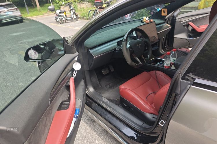 Tesla Model 3 2023 car image #18