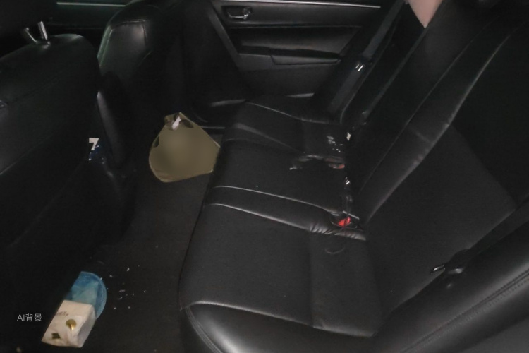 Toyota Corolla 2016 car image #19