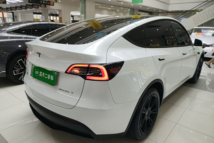 Tesla Model Y 2024 immagine di auto #7