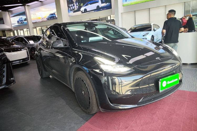 Tesla Model Y 2024 car image #4