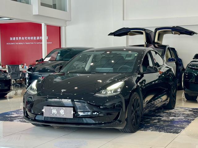 Tesla Model 3 2020 #17 Tesla Model 3 2020 car image #17