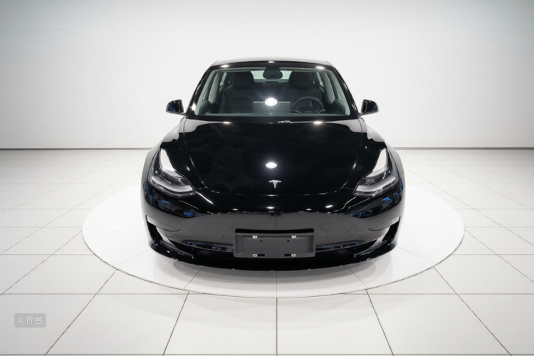 Tesla Model 3 2021 #3 Tesla Model 3 2021 car image #3