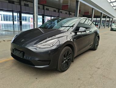 Tesla Model Y 2024 Tesla Model Y 2024 car image