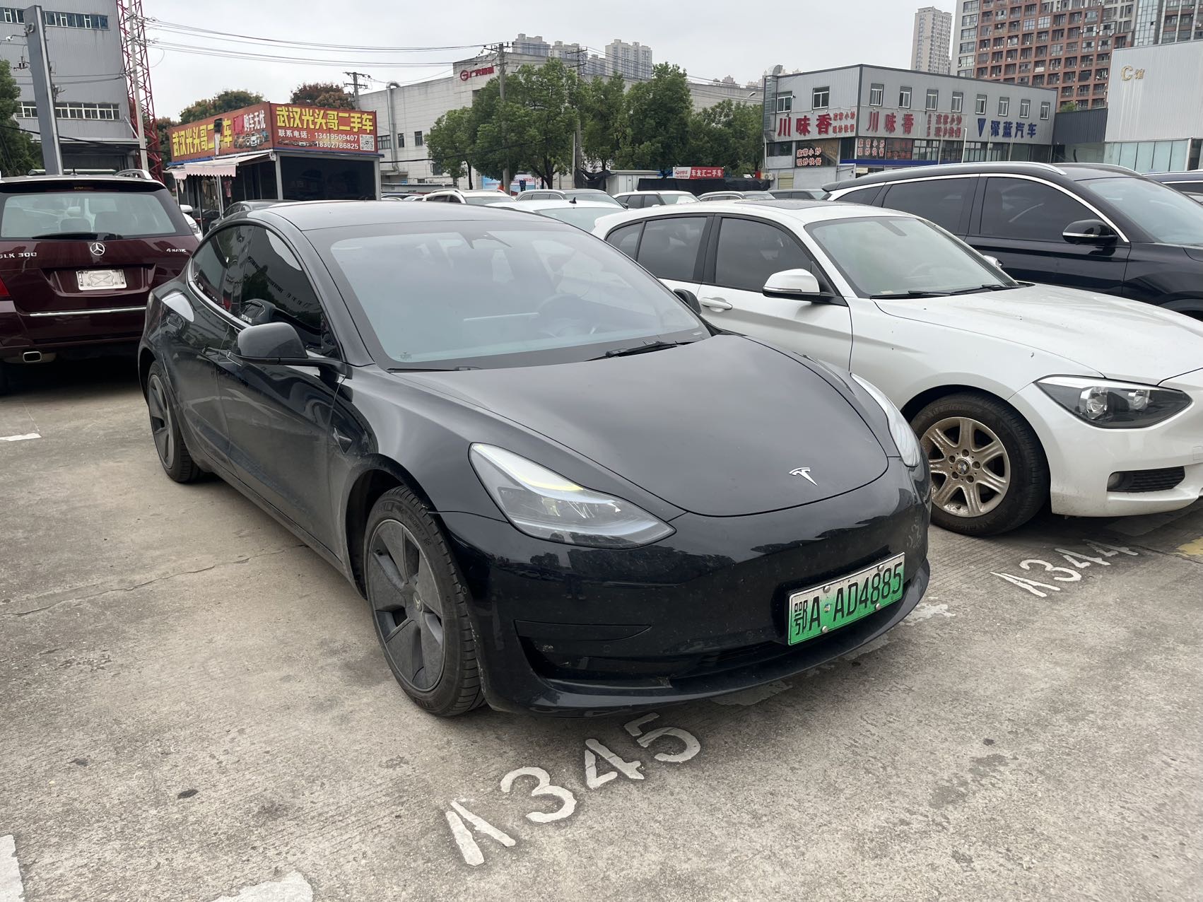 Tesla Model 3 2023 #2 Tesla Model 3 2023 car image #2