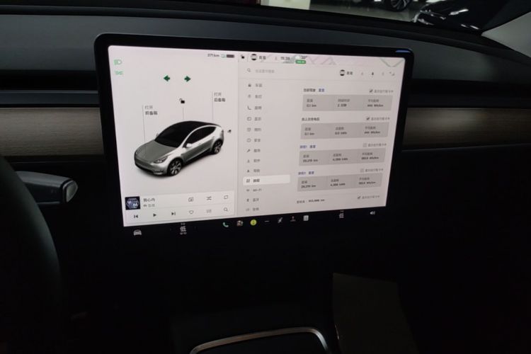 Tesla Model Y 2021 car image #13