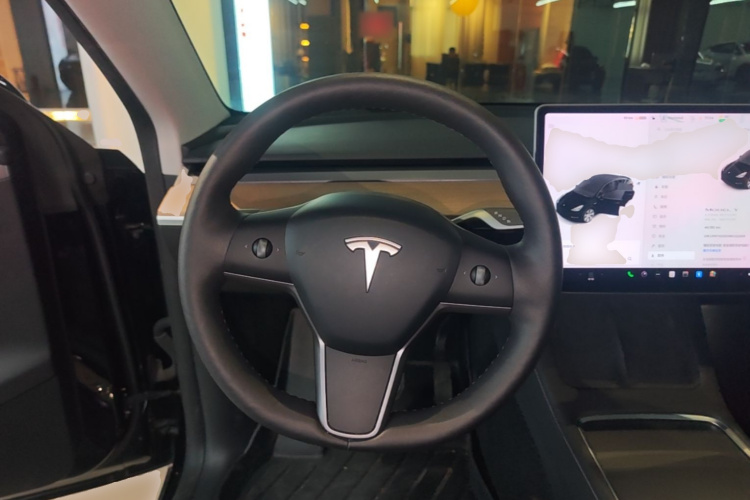 Tesla Model Y 2021 #11 Tesla Model Y 2021 car image #11