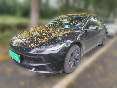 Tesla Model 3 2023 Tesla Model 3 2023 car image