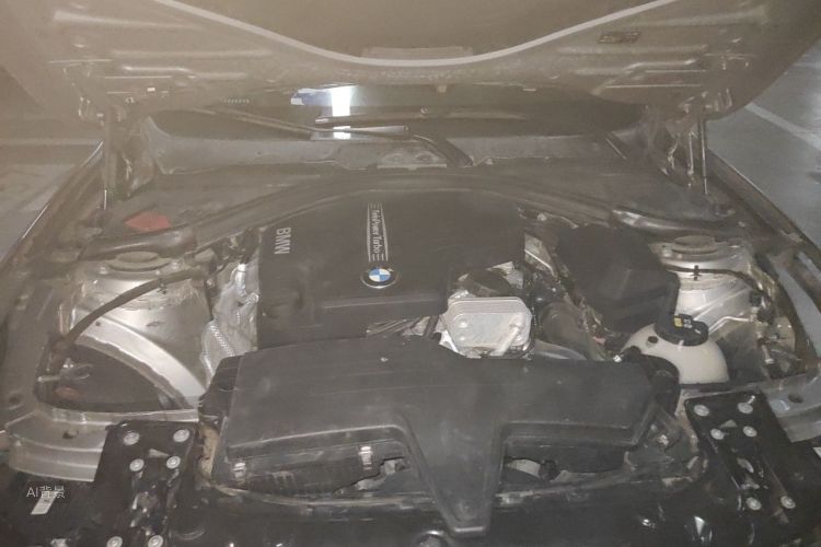 BMW 3 Series 2016 car image #22