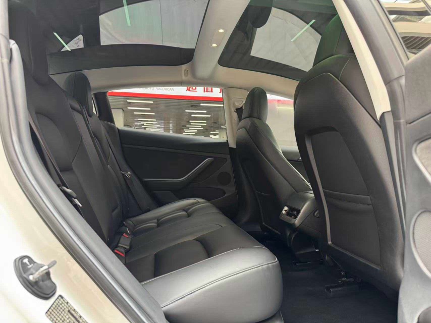 Tesla Model 3 2022 car image #21