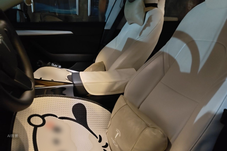 Tesla Model 3 2022 car image #17