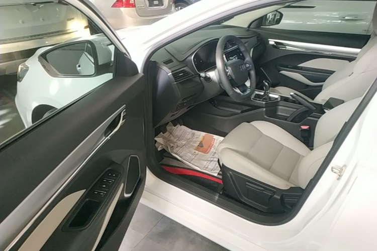 GEELY Binray 2019 image de voiture #16