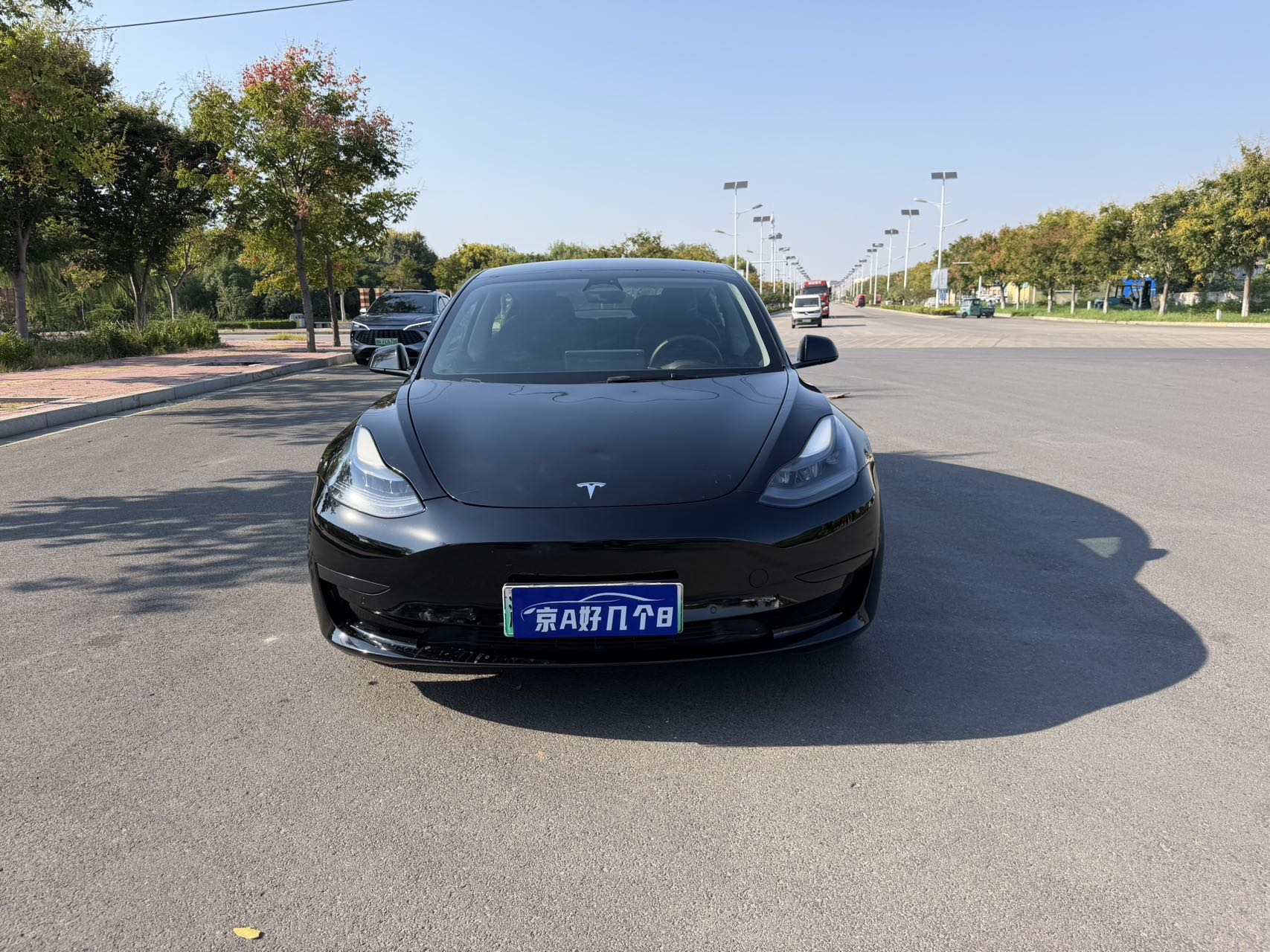 Tesla Model 3 2022 immagine di auto #2