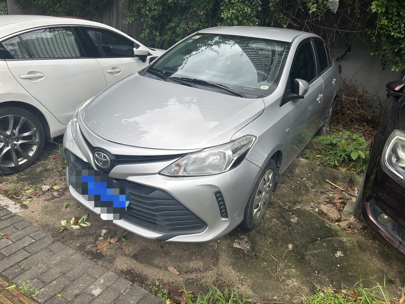 Toyota Vios 2017 Toyota Vios 2017 car image