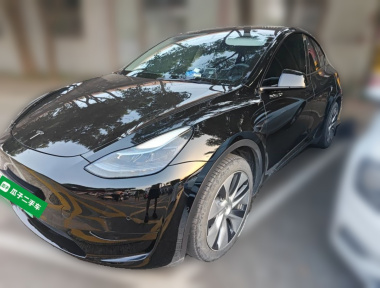 Tesla Model Y 2022 car image 