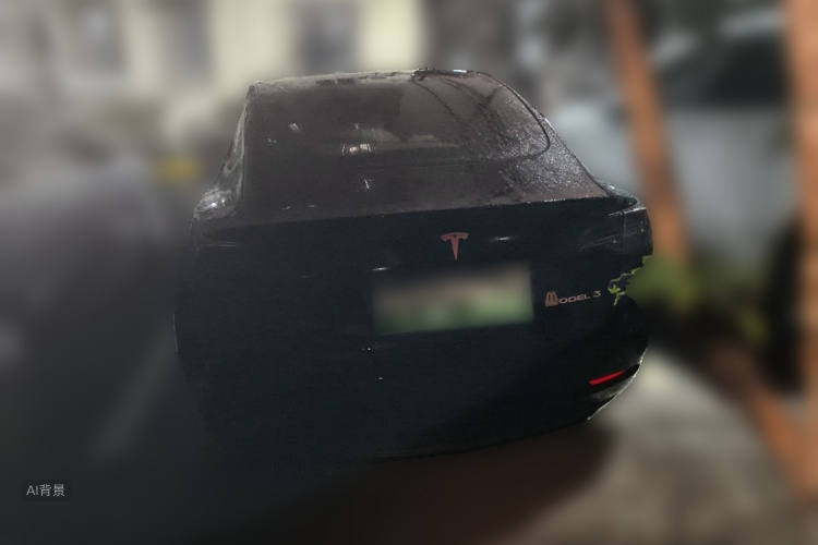Tesla Model 3 2020 car image #6