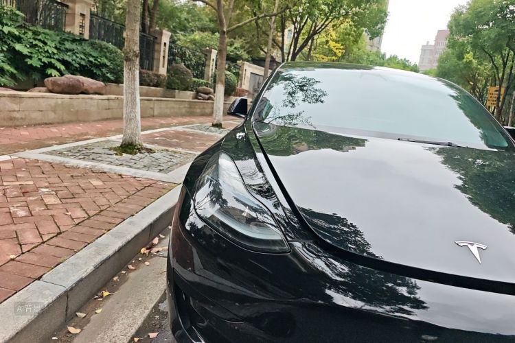 Tesla Model 3 2023 #8 Tesla Model 3 2023 car image #8