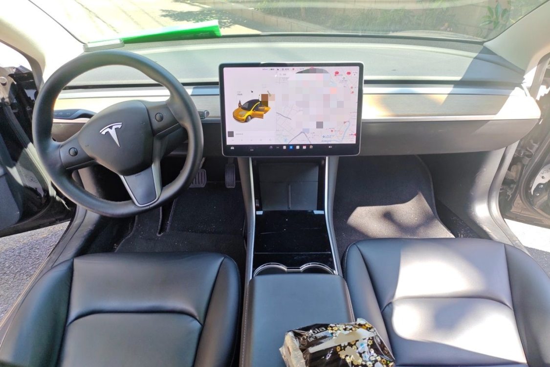 Tesla Model 3 2020 car image #23