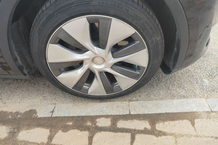 Tesla Model Y 2021 #9 Tesla Model Y 2021 immagine di auto #9
