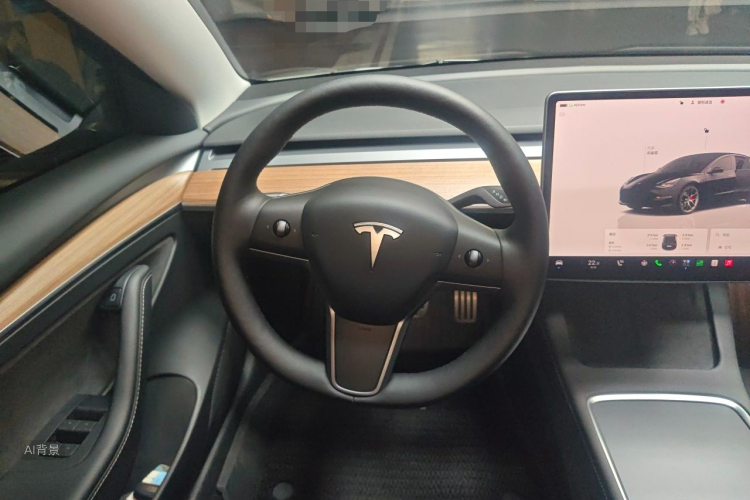 Tesla Model 3 2022 car image #12