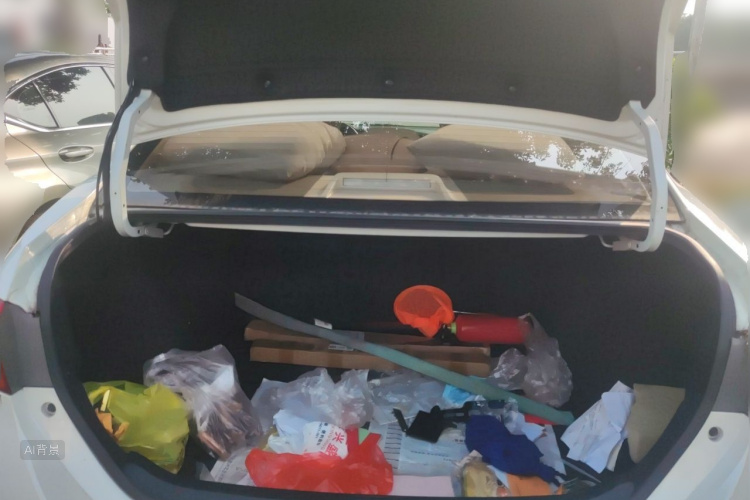 Toyota Corolla 2016 car image #21