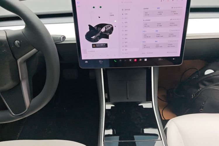 Tesla Model 3 2020 car image #13