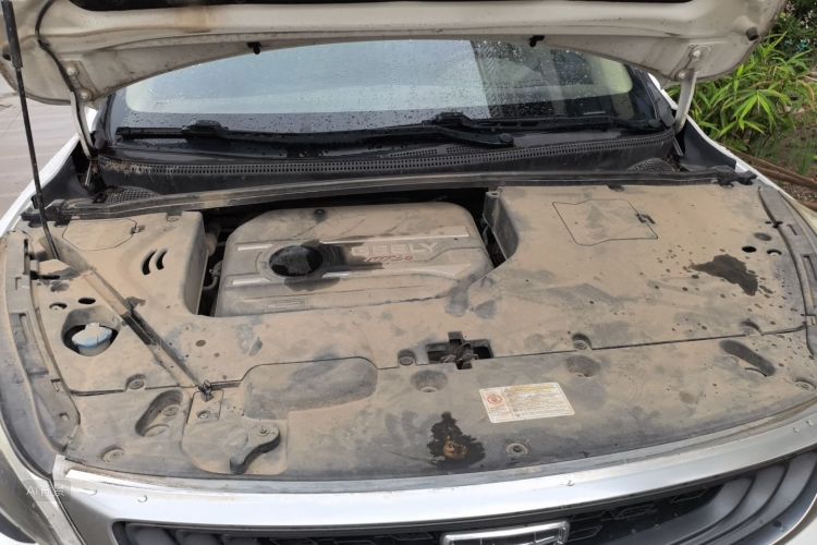 GEELY Emgrand GS 2019 #22 GEELY Emgrand GS 2019 car image #22