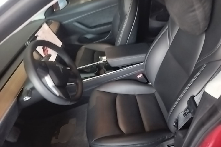 Tesla Model 3 2020 immagine di auto #15