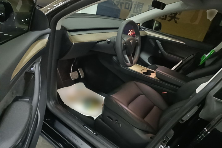 Tesla Model Y 2023 car image #12