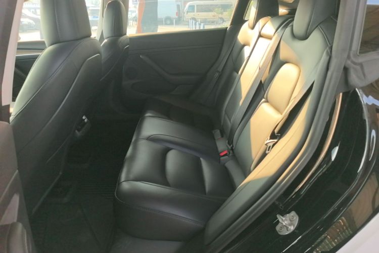 Tesla Model 3 2021 #17 Tesla Model 3 2021 car image #17