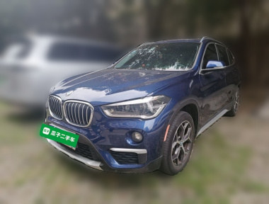 BMW X1 2019 car image 
