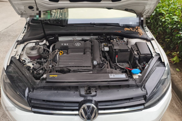 Volkswagen Golf 2020 car image #22