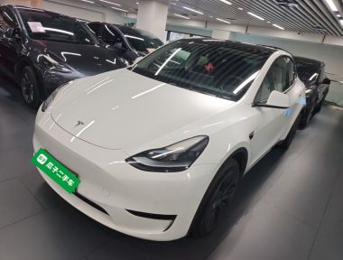 Tesla Model Y 2023 Tesla Model Y 2023 car image