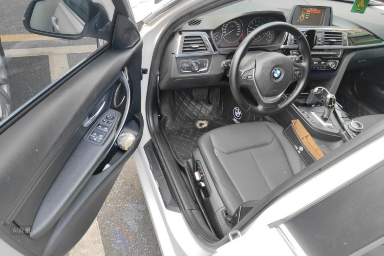 BMW 3 Series 2016 car image #18