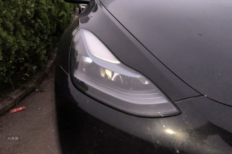 Tesla Model Y 2021 #8 Tesla Model Y 2021 car image #8