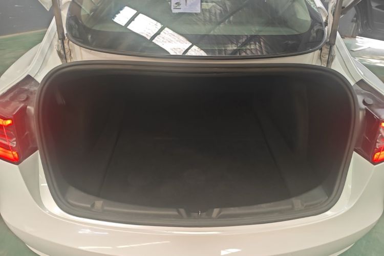 Tesla Model 3 2020 #19 Tesla Model 3 2020 immagine di auto #19