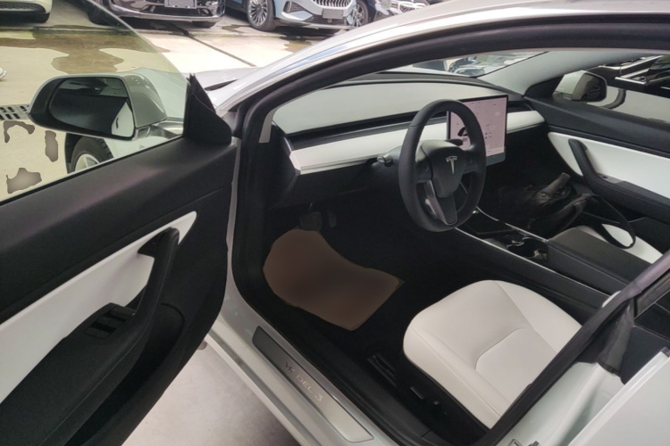 Tesla Model 3 2020 car image #16