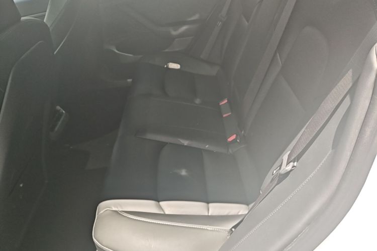 Tesla Model 3 2020 car image #17