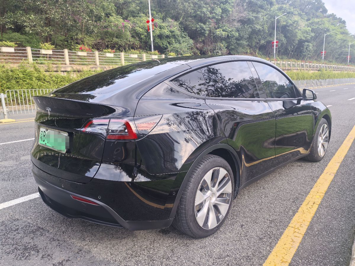 Tesla Model Y 2022 car image #10